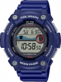 купить часы наручные часы casio collection ws-1300h-2a с бесплатной доставкой | Купите часы КАСИО в интернет-магазине дилера CASIO.BAZA